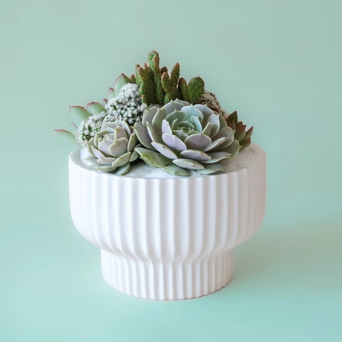 Presley White Pedestal Planter