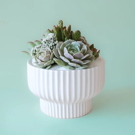 Presley White Pedestal Planter