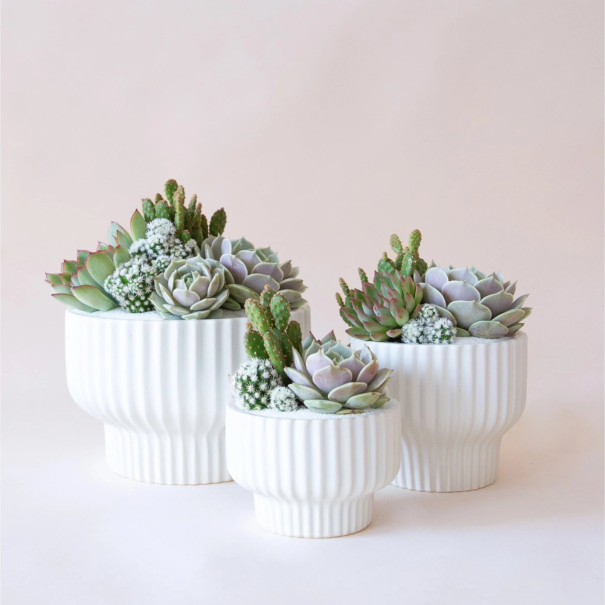 Presley White Pedestal Planter