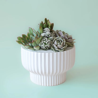 Presley White Pedestal Planter